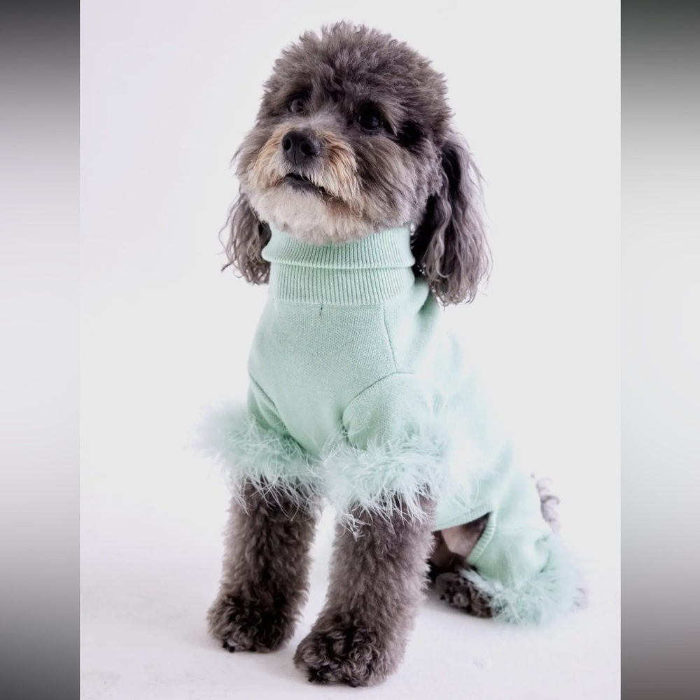 Maxbone Feather Pet Onesie - Brand NWT